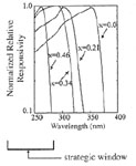 Ultraviolet Detectors