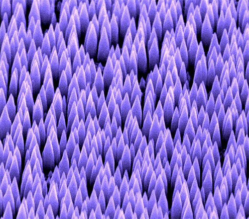 Core-shell GaN-ZnO Moth-eye Nanostructure Arrays Grown on a-SiO<sub>2</sub>/Si (111) as a basis for Improved InGaN-based Photovoltaics and LEDs