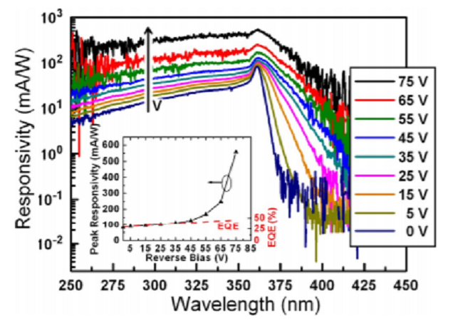 Scaling in back-illuminated GaN avalanche photodiodes