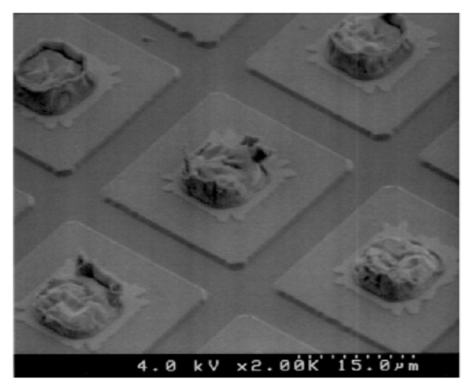 III-Nitride Avalanche Photodiodes