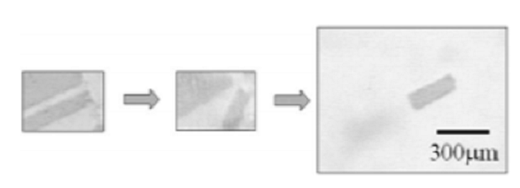 Use of ZnO thin films as sacrifical templates for metal organic vapor phase epitaxy and chemical lift-off of GaN